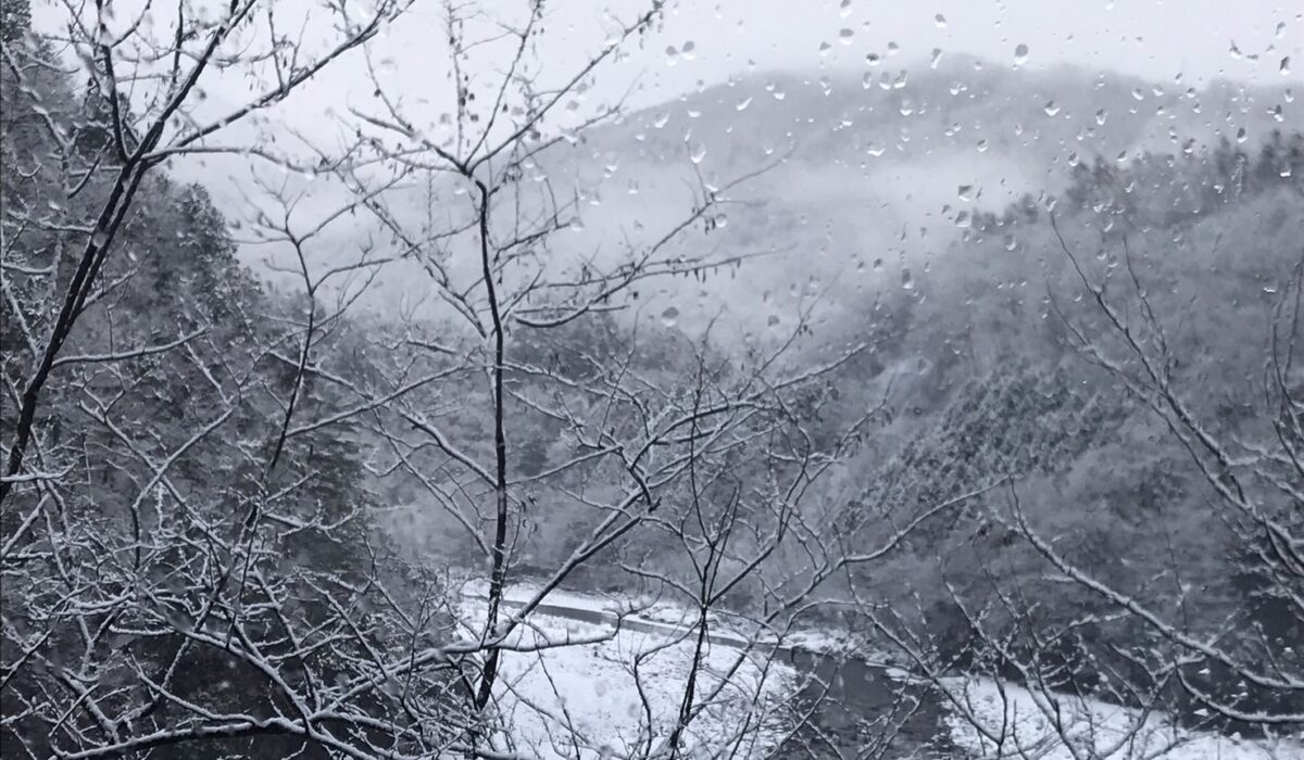 窓から見た冬の景色